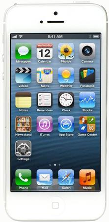 Смартфон Apple iPhone 5 64Gb White & Silver - Воронеж