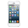Apple iPhone 5 16Gb white - Воронеж