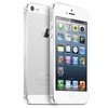 Apple iPhone 5 64Gb white - Воронеж